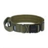 ONE TIGRIS DOG COLLAR 08 RANGER GREEN  SIZE M TG-GBT08-RGM